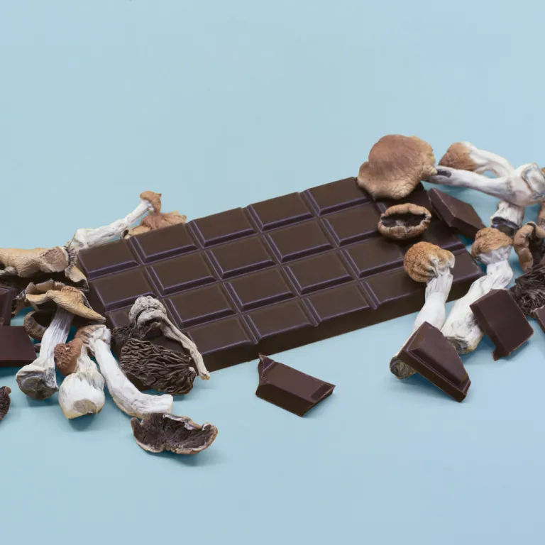 Magic Mushroom Chocolate