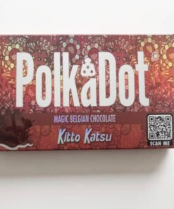 Polkadot Kitto Katsu Belgian Chocolate
