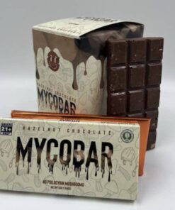 Hazelnut Chocolate 4G Psilocybin Mushrooms