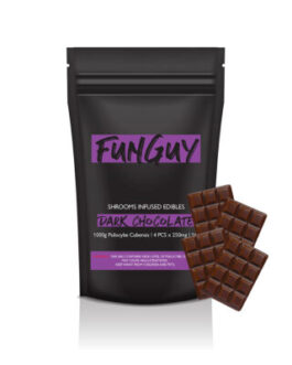 FunGuy Mushroom chocolate bar